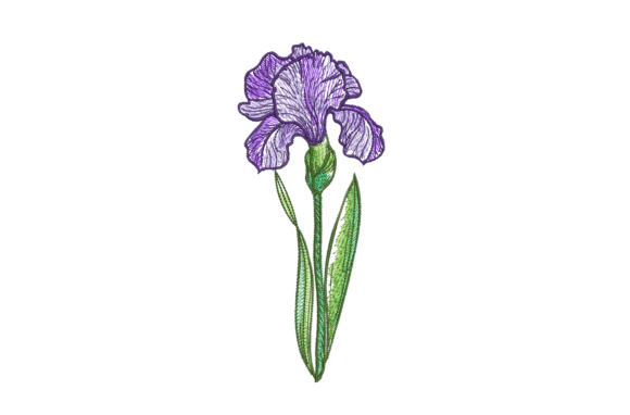 Iris Flower Embroidery Design